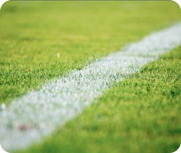 Grooming professional players by excellent training, academics, focus on health, fitness & accomodation and discipline.